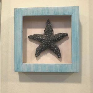 WALL SHOW PIECE (Starfish Shadow Box)